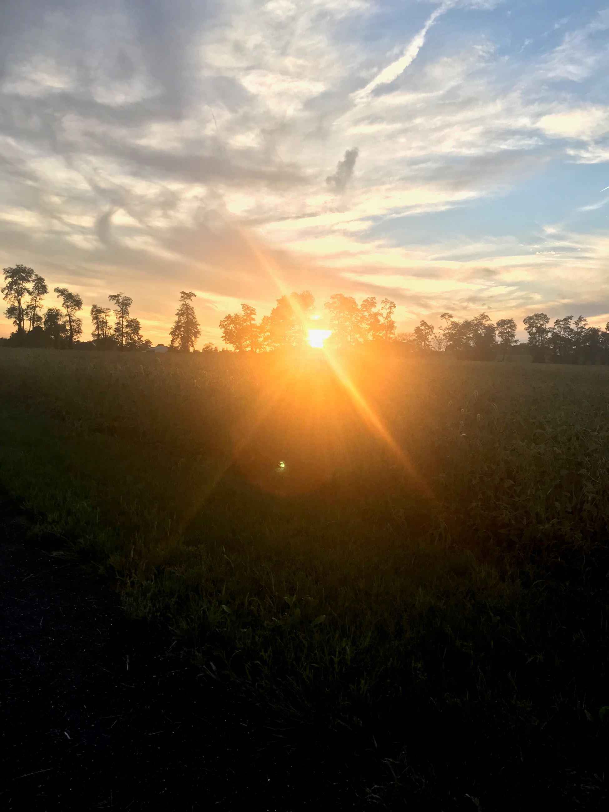 SMT Trail Sunset (Photo: Allison Earnst)